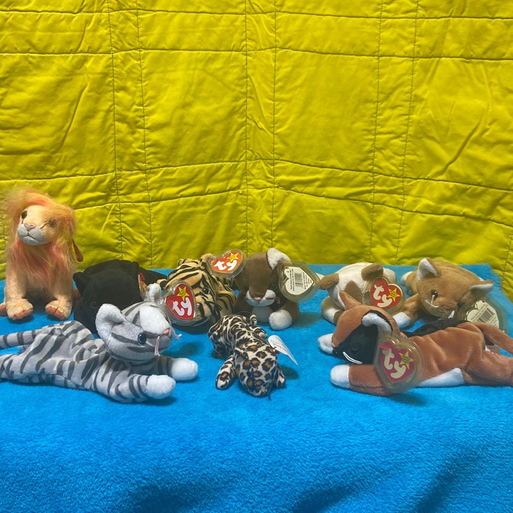 The Ultimate Cat Collection